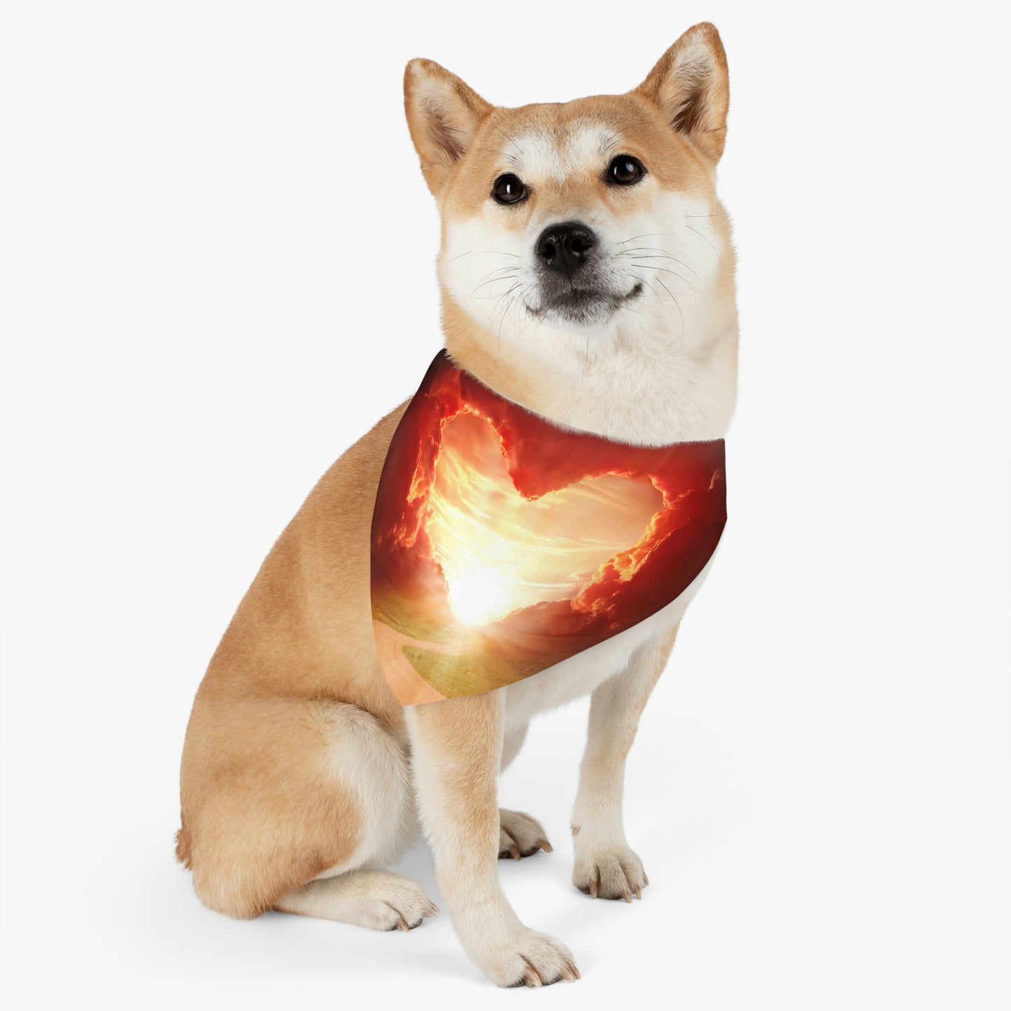 Pet Bandana Collar